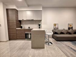 The Florence Residences (D19), Apartment #472441241
